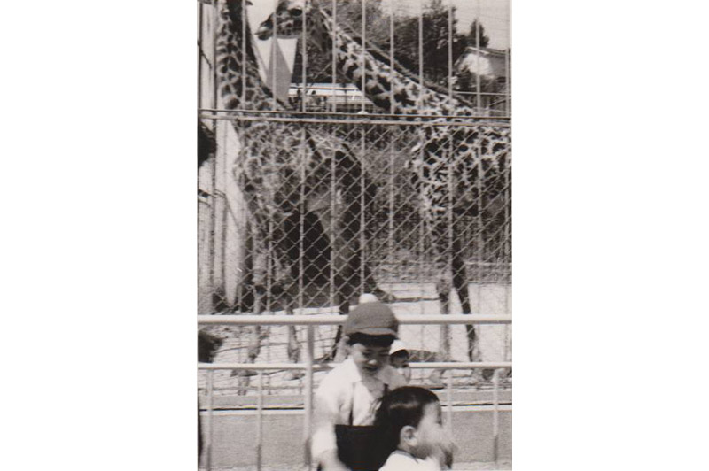 キリンと（昭和44年頃）