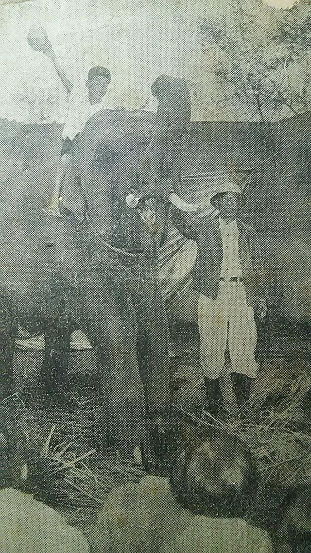 メリーちゃんと