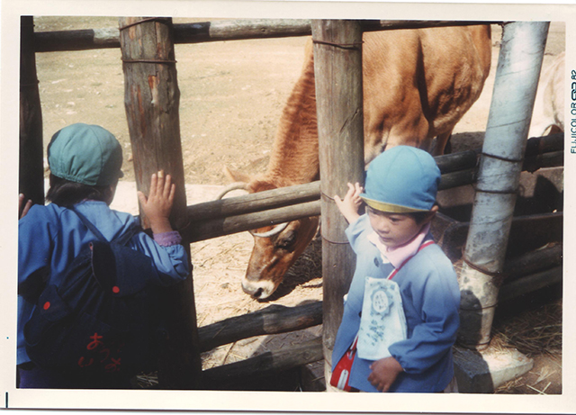 牛（昭和57年）
