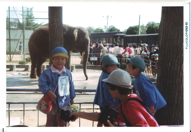 ゾウ（昭和57年）