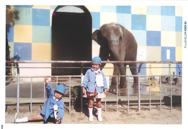 ゾウ（昭和57年）