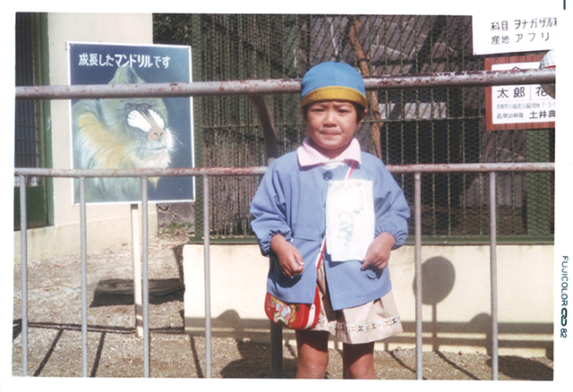 マンドリル（昭和57年）