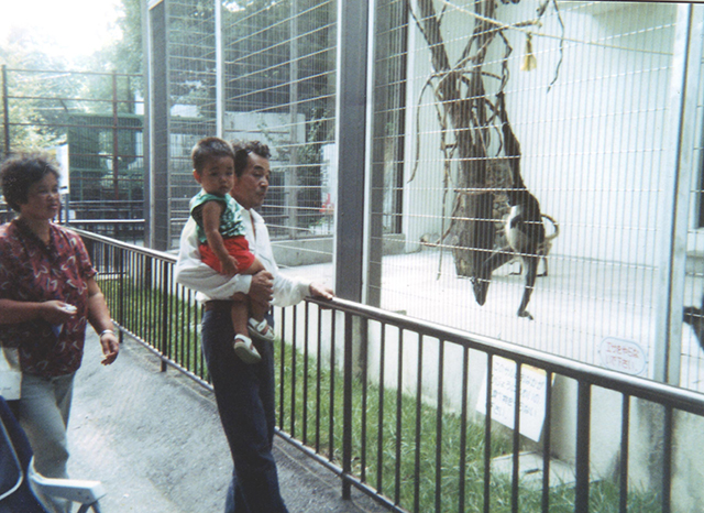 クモザル（1991年秋頃）