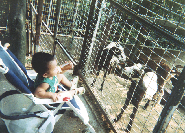 ヤギ（1991年秋頃）