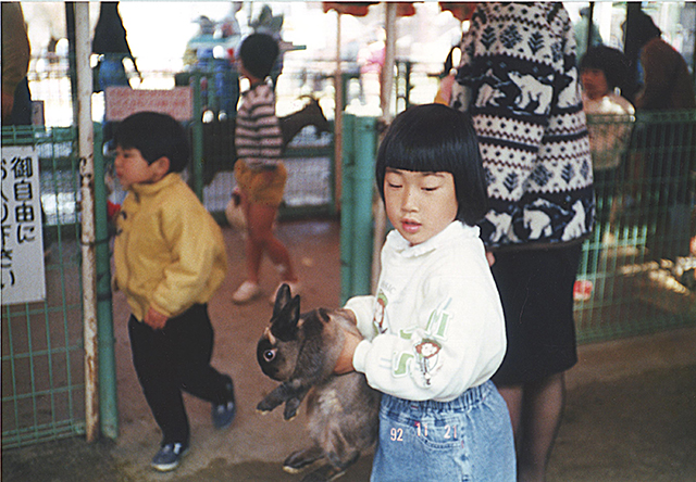 ウサギ（1992年11月）