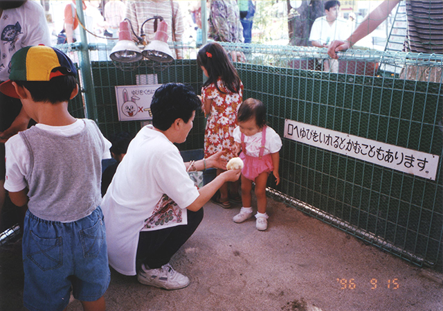 ヒヨコ（1996年）