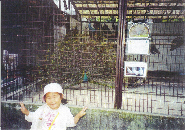 クジャク（2002年）